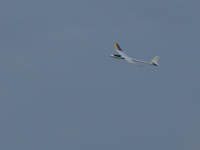 Epsilon im Flug