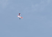 Boxfly im Sturzflug